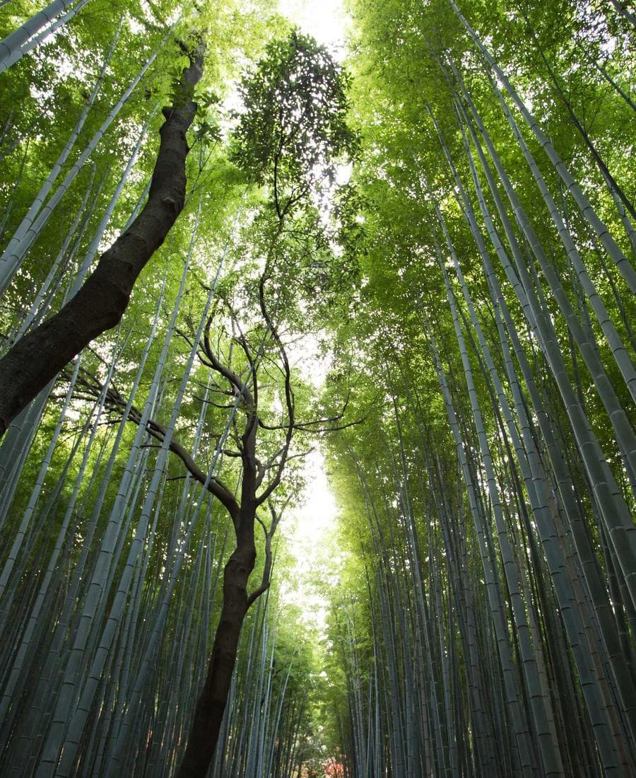 対話 ── イメージ（サンプル写真）